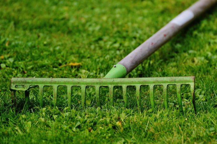 Manutenzione del verde